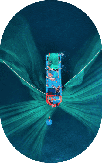 home sostenibilita ovale 1