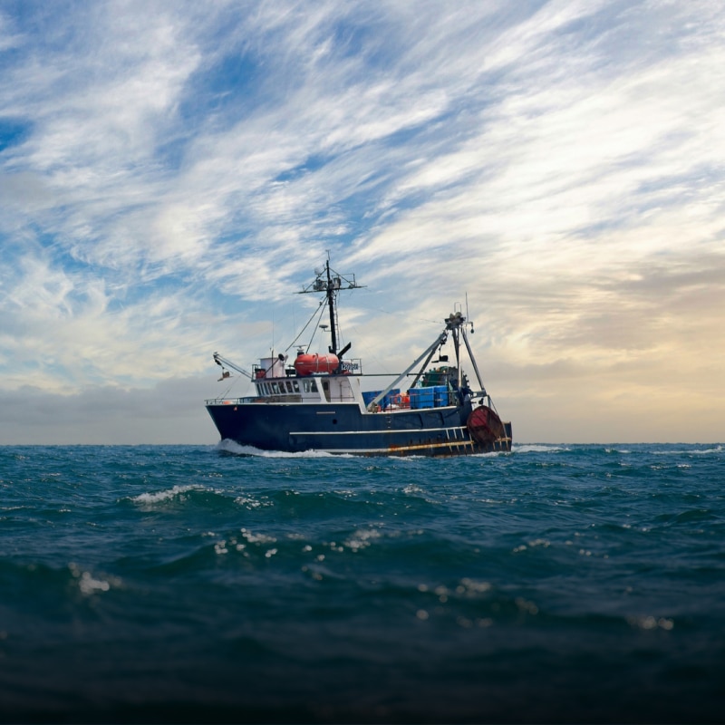 Dovetrovarci nel mondo