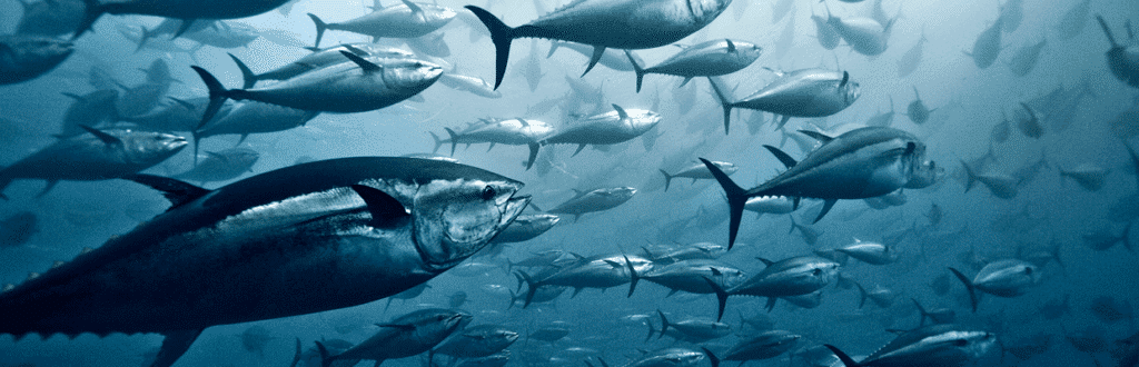 GettyImages 607337981 1