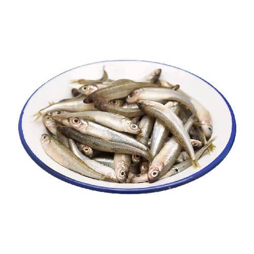 Latterini   Acquadelle