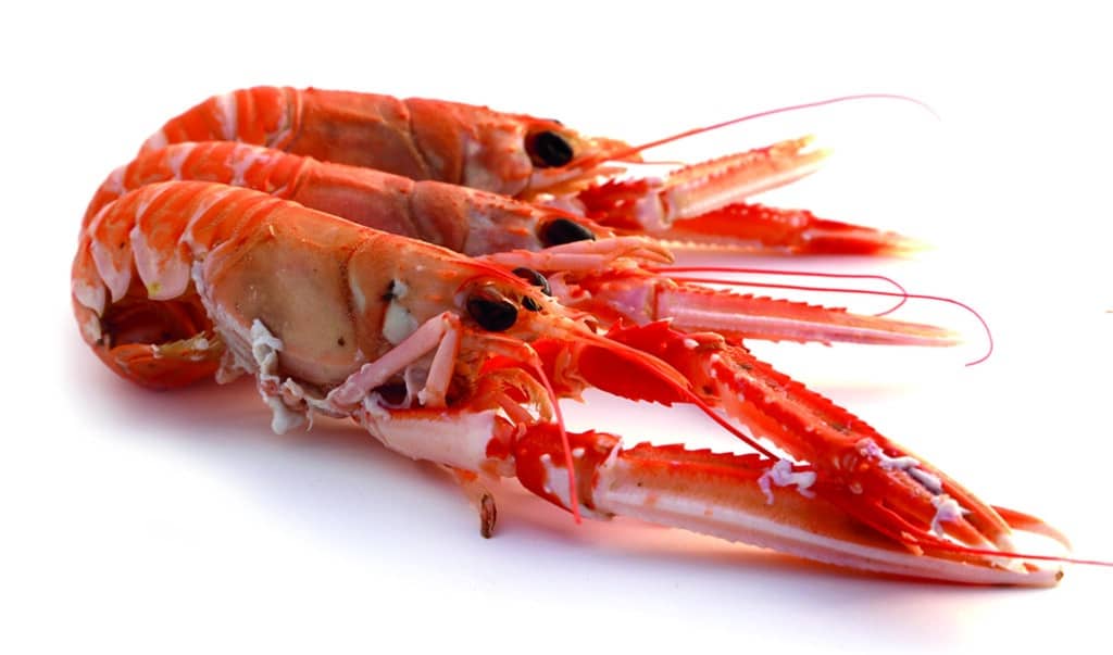 SCAMPI