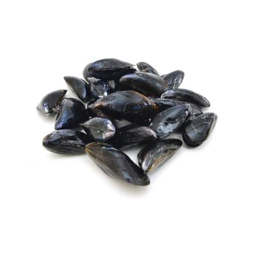 COZZE